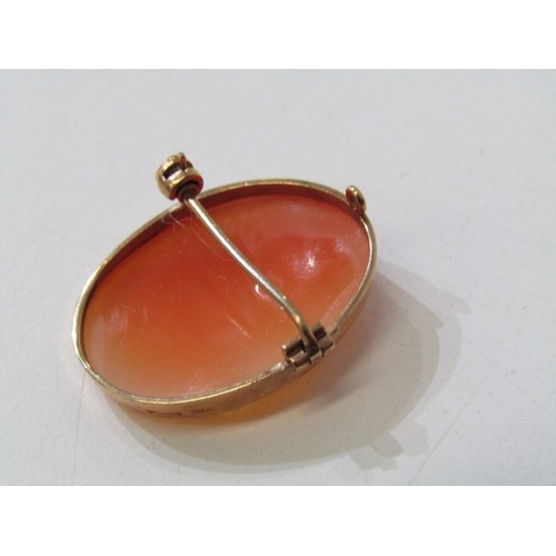 45 - CAMEO BROOCH, oval cameo decorated a portrait a lady in a 9ct yellow gold mount, 3.6 grams overall