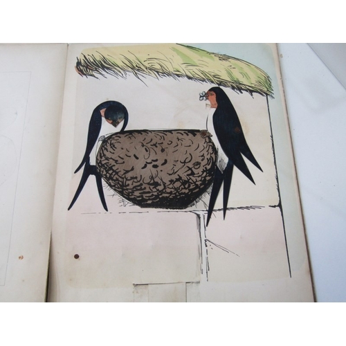 57 - ANTIQUARIAN BOOKS, various volumes including 