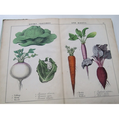 57 - ANTIQUARIAN BOOKS, various volumes including 