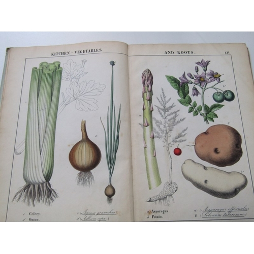 57 - ANTIQUARIAN BOOKS, various volumes including 