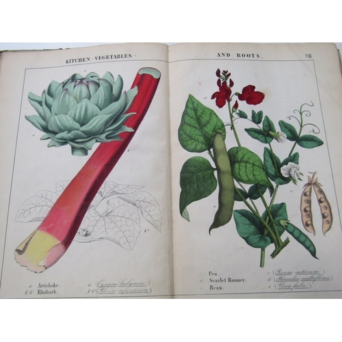 57 - ANTIQUARIAN BOOKS, various volumes including 