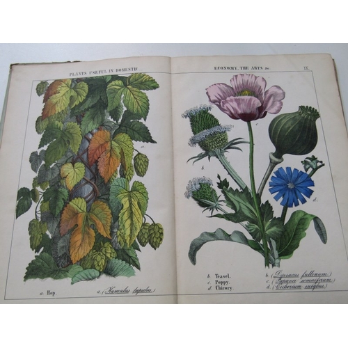 57 - ANTIQUARIAN BOOKS, various volumes including 