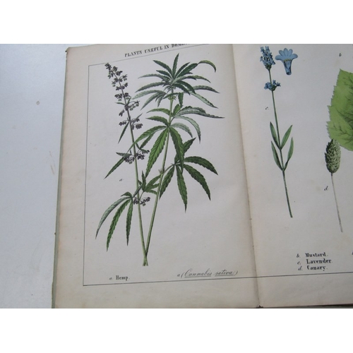 57 - ANTIQUARIAN BOOKS, various volumes including 