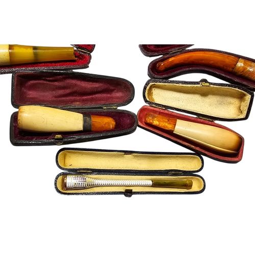 Collection of Thirteen Antique and Vintage Pipes and Cheroot Holders ...