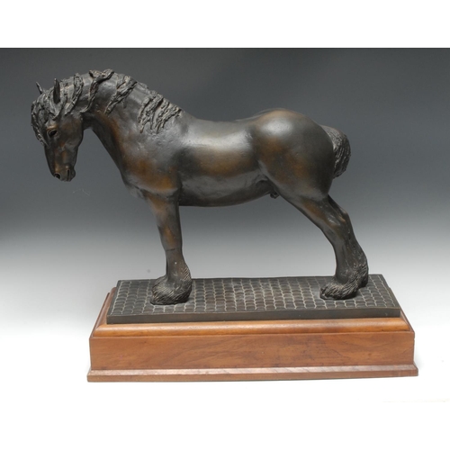 1974 - Shirley Pace (20th century), a a brown patinated bronze, of a Shire Horse, Jacob, The Circle Dray Ho... 