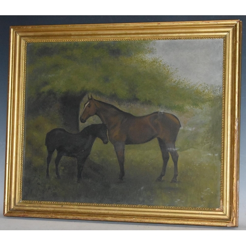 525 - English School (19th century) Equestrian Portrait of a Brown Horse and Black Pony oil on canvas, 41c... 