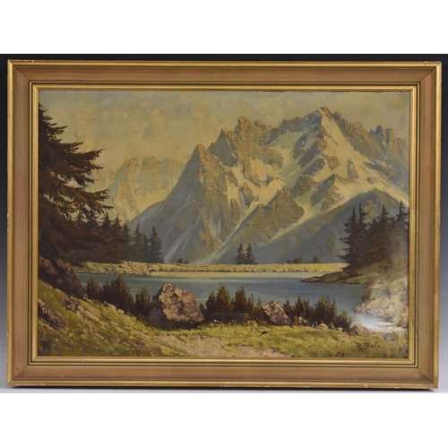 623 - Th. Thiele (Continental School, 20th century) Mountainscape signed, oil on canvas, 49cm x 69cm