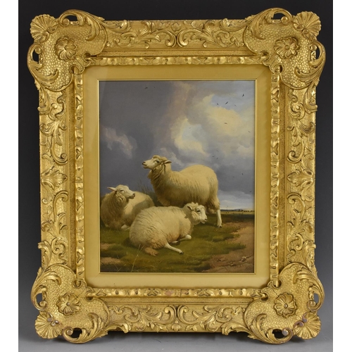 625 - Thomas Sidney Cooper (1803 - 1902) Sheep under Stormy Skies signed, dated 1876, oil on board, 33cm x... 