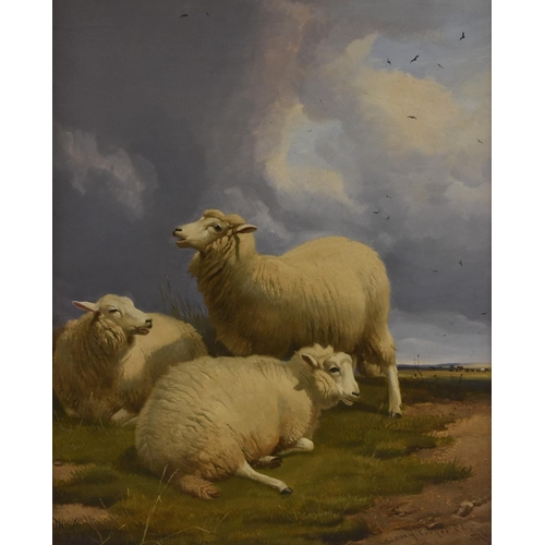 625 - Thomas Sidney Cooper (1803 - 1902) Sheep under Stormy Skies signed, dated 1876, oil on board, 33cm x... 