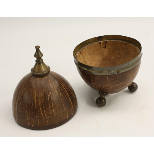 3313 - An early 20th century 'wunderkammer' coconut box, knop finial, ball feet, 17.5cm high