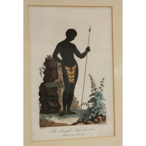 3386 - John Chapman, by, Johan Eberhard Ihle, after, The Senegal Negro Female, coloured engraving, 19.5cm x... 