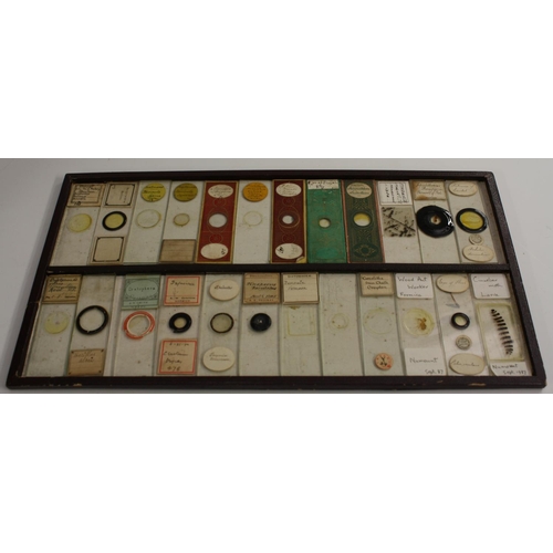 3595 - Microscopy - a late Victorian walnut microscope slide cabinet, hinged folding cover enclosing an arr... 