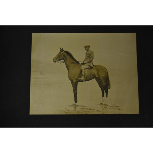 413 - Photography - Equestrian - an interesting album of original black and white horse confirmations, Eng... 