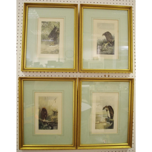 433 - Archibald Thornton, after, a set of four, Birds of Prey, framed; G. D. Armour, after, a pair of hunt... 