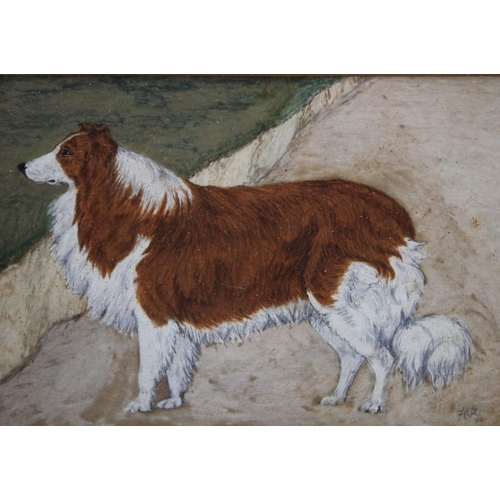 22 - English School (early 20th century) Portrait of a Collie Dog signed with initials FCP?, watercolour,... 