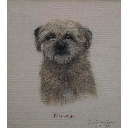 265 - David Owen Portrait of a Terrier, Minnah signed, pastel, 31cm x 28cm