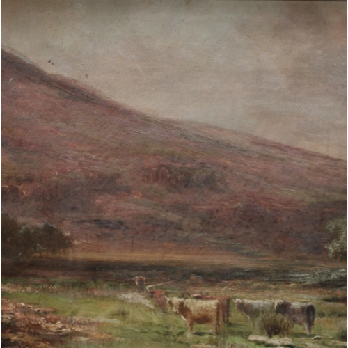 291 - Henry Hadfield Cubley (1858 - 1934) Montpellier Cattle, Matlock inscribed to verso, oil on canvas, 3... 