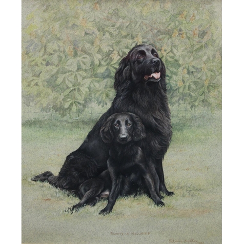 304 - Patricia Bradley Bonny & Mischief, Spaniels signed, dated, watercolour, 30.5cm x 25.5cm