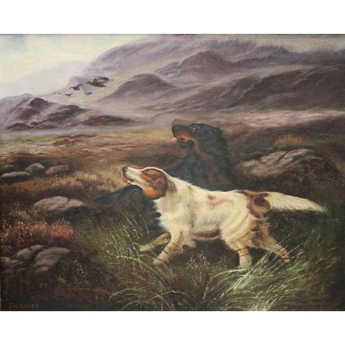 311 - T H Parker Sporting Dogs signed, oil on board, 39.5cm x 49.5cm