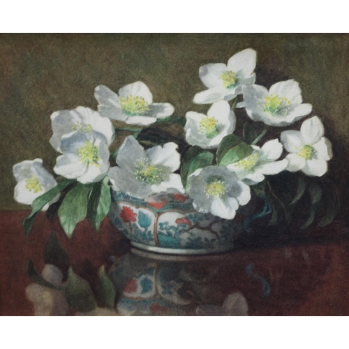 313 - Winifred J Jones Anemones in a Japanese Imari Bowl signed, watercolour, 30.5cm x 38cm