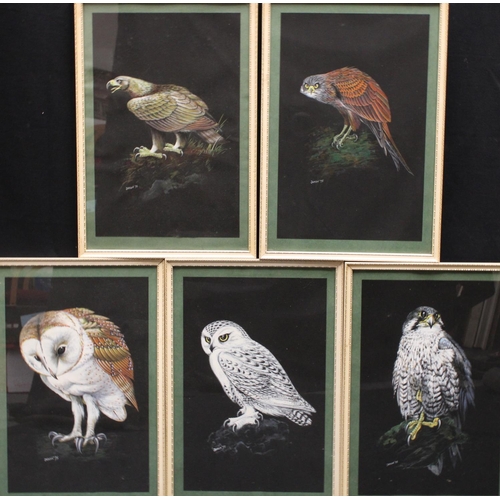 315 - Ken Jaxon (20th century) A set of five, Studies of Birds, Barn Owl, Golden Eagle, Kite, Snowy Owl an... 