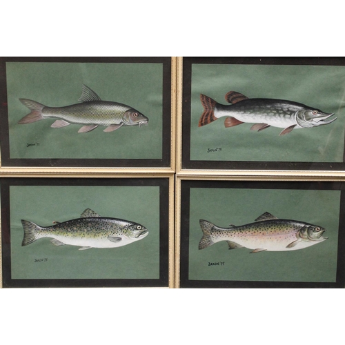 316 - Ken Jaxon (20th century) A set of four, Studies of Fish, Trout, Rainbow Trout, Barbel and Pike signe... 