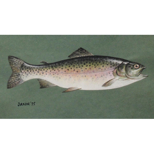 316 - Ken Jaxon (20th century) A set of four, Studies of Fish, Trout, Rainbow Trout, Barbel and Pike signe... 