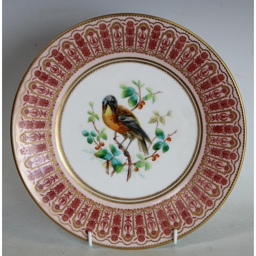 121 - A Derby Crown Porcelain circular plate, painted with a bird perched on branches, in  the manner of L... 