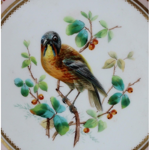 121 - A Derby Crown Porcelain circular plate, painted with a bird perched on branches, in  the manner of L... 