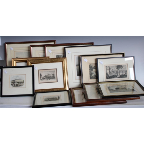 Lot 244       
