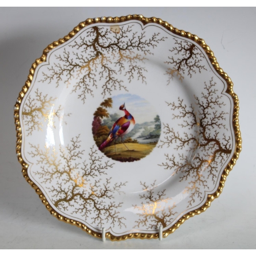 71 - A Flight Barr & Barr shaped circular plate, painted to centre by Davis with an exotic bird, gilt sea... 