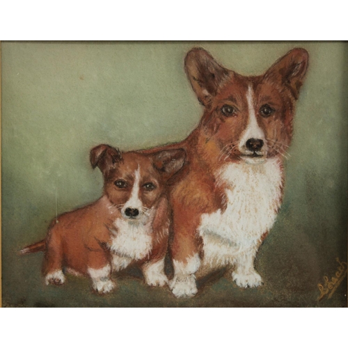 194 - C Leach Corgi and Pup signed, pastel