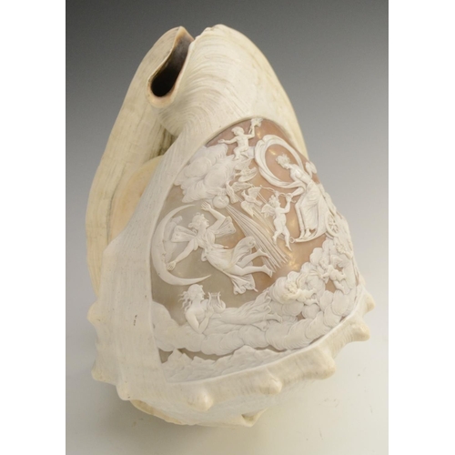 3111 - A large 19th century cameo conch shell, carved in the Classical taste with Diana in her chariot, att... 