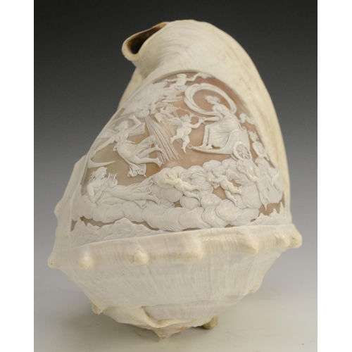 3111 - A large 19th century cameo conch shell, carved in the Classical taste with Diana in her chariot, att... 