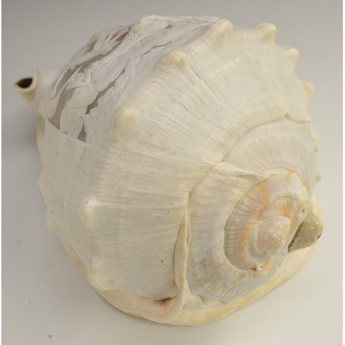 3111 - A large 19th century cameo conch shell, carved in the Classical taste with Diana in her chariot, att... 