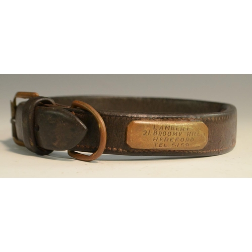 3180 - An early 20th century brass mounted leather dog collar, the owner's cartouche inscribed Lambert, 21 ... 