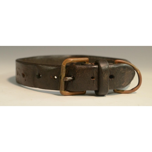 3180 - An early 20th century brass mounted leather dog collar, the owner's cartouche inscribed Lambert, 21 ... 