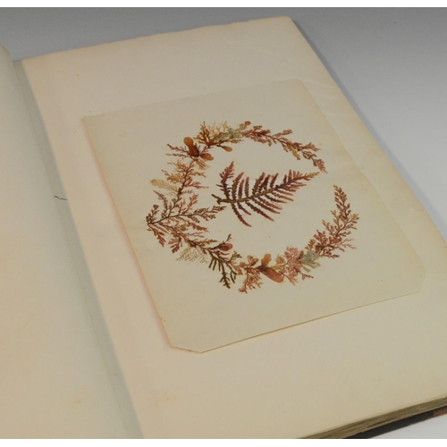 4148 - Natural History, Botany - a Victorian herbarium, collected, preserved and compiled by E.H. McGary, c... 