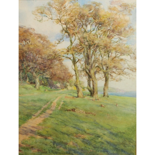 257 - Mildred Hall (early 20th century) A Coastal path at Sunset, with Rabbits signed, watercolour, 44cm x... 