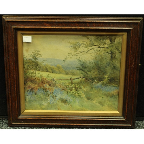 Lot 5196      