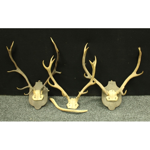 Lot 5221      