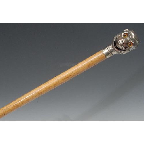 1177 - A 19th century French novelty automaton walking cane, the white pommel as a monkey's head, with open... 