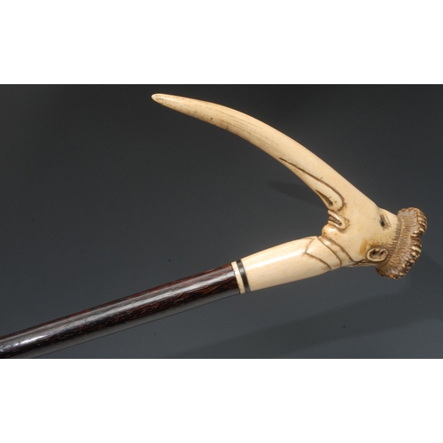 1185 - A late 19th/early 20th century stag horn walking cane, carved with a man's face with extremely long ... 