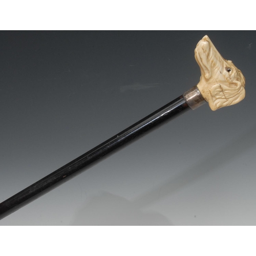 1195 - A late 19th century walking stick, the ivory handle carved with a hound, glass eyes, silver collar, ... 