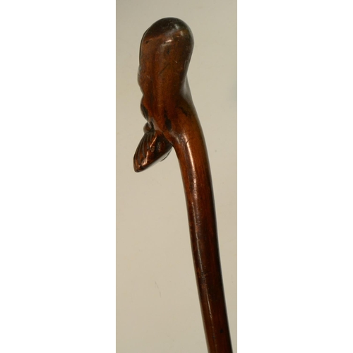 1207 - Folk Art - a 19th century novelty hedgerow walking stick, boldly carved with the head of a stylized ... 