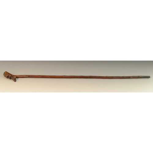 1207 - Folk Art - a 19th century novelty hedgerow walking stick, boldly carved with the head of a stylized ... 