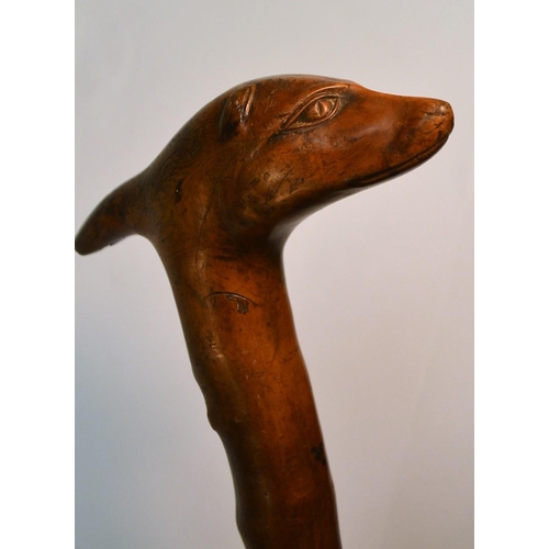 1235 - A 19th century fruitwood gentleman's novelty walking stick, the handle carved as the head of a dog, ... 