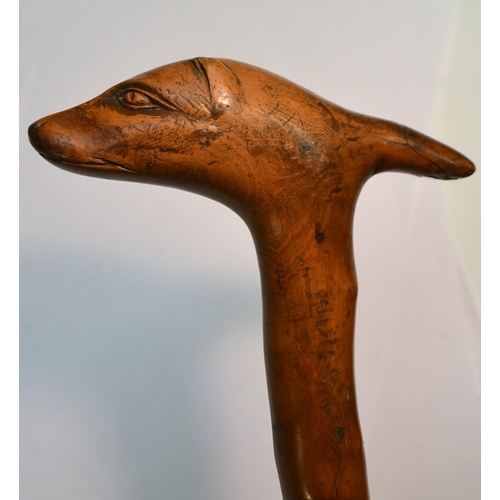 1235 - A 19th century fruitwood gentleman's novelty walking stick, the handle carved as the head of a dog, ... 