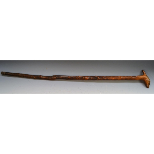 1235 - A 19th century fruitwood gentleman's novelty walking stick, the handle carved as the head of a dog, ... 