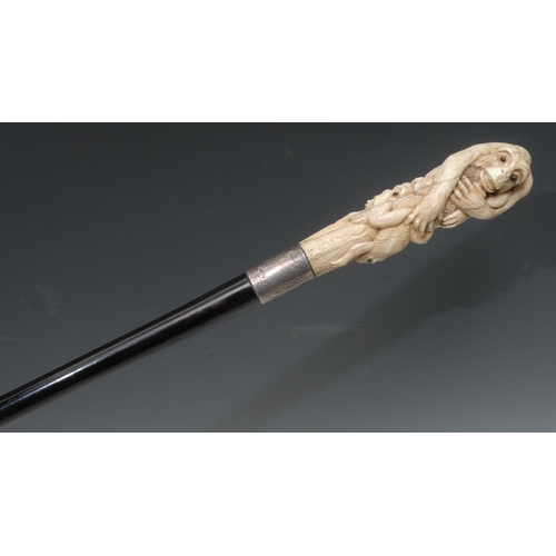 1239 - A 19th century walking cane, the ivory pommel carved monkeys and toad, silver coloured metal ferrule... 